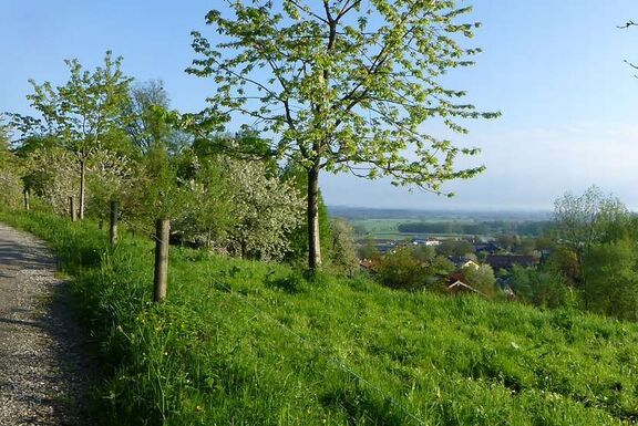 Impressionen vom Wachingerhof