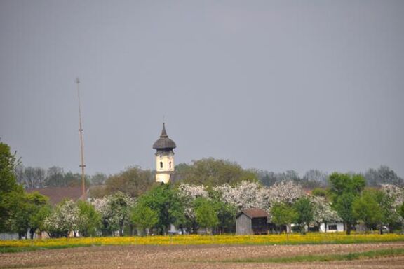 Freizeitangebote Wachingerhof