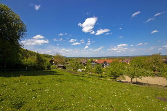 Impressionen vom Wachingerhof