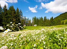 Naturcafe Moosmühle